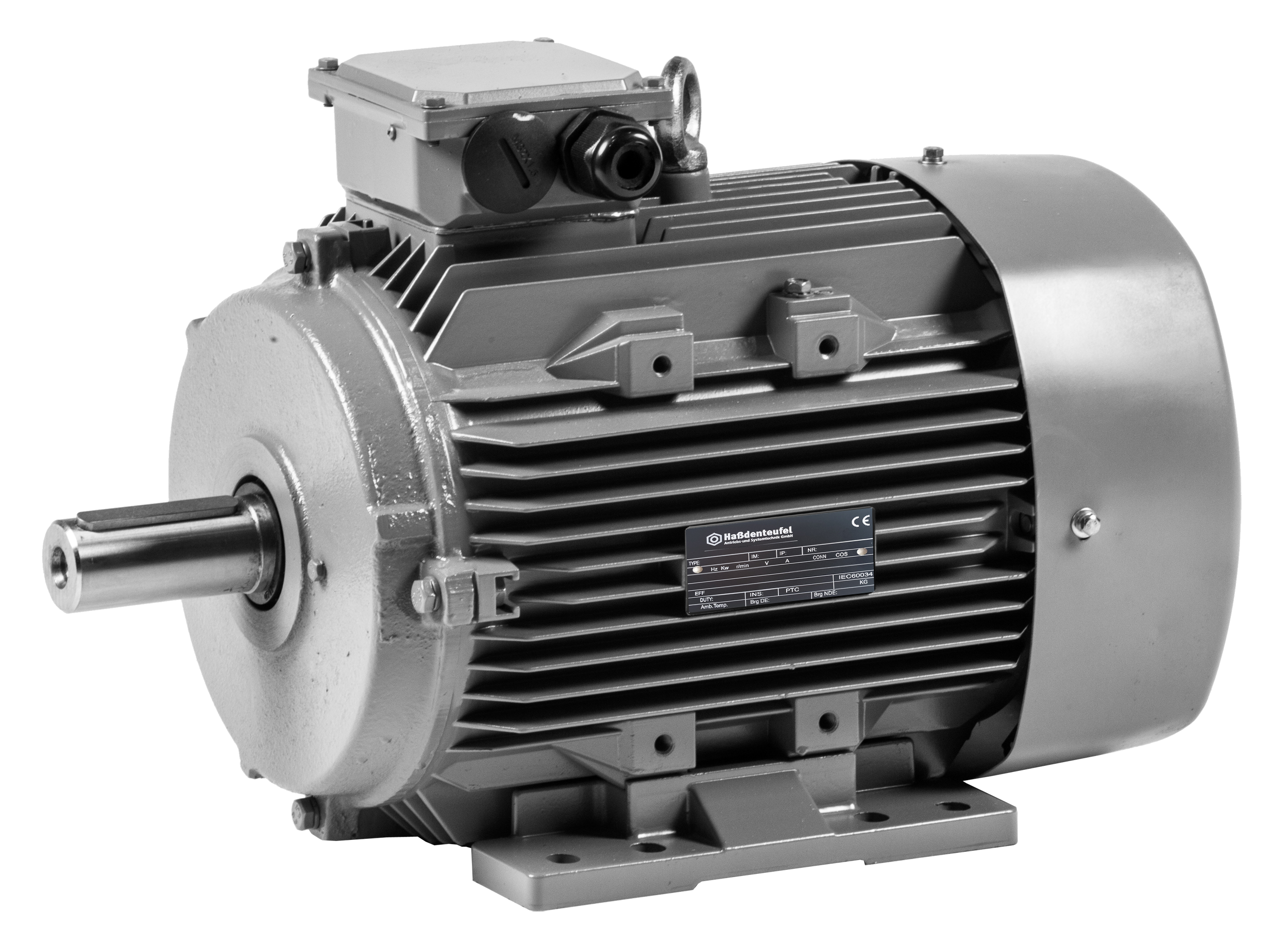 Drehstrommotor- Elektromotor- 5,5kW- 2 polig- B35